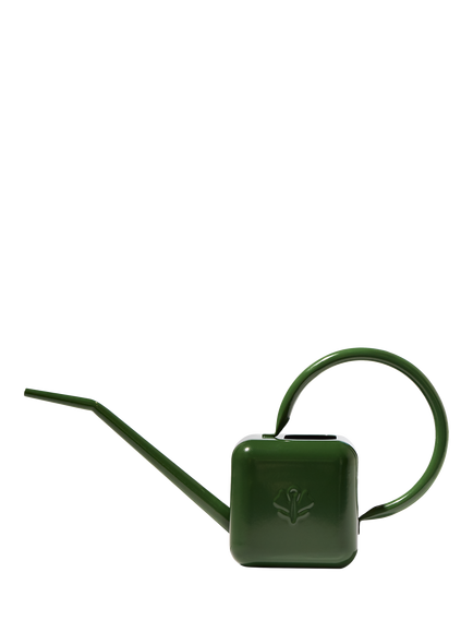 Sowvital Stainless Steel Watering Can, 500ml, Green, Green