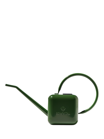 Sowvital 'Love Thy Plants' Stainless Steel Watering Can, 1.25L, Green, Green