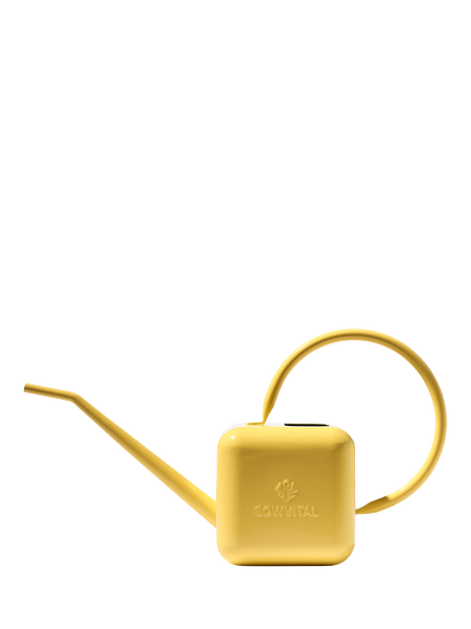 Sowvital 'Love Thy Plants' Stainless Steel Watering Can, 1.25L, Yellow, Yellow