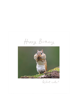 Woodmansterne Chipmunk Cheeks Full Of Food Birthday Card, Multi
