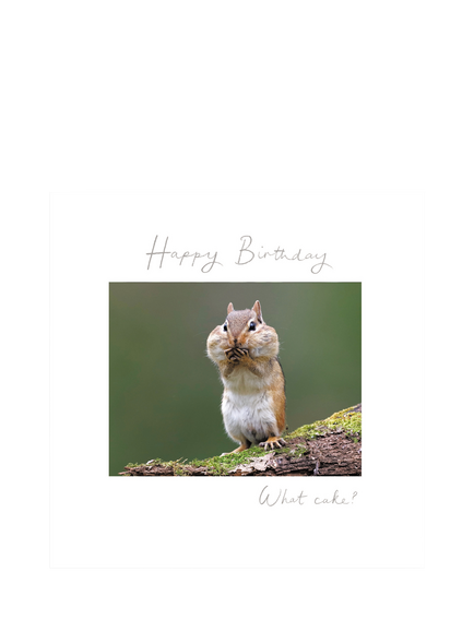 Woodmansterne Chipmunk Cheeks Full Of Food Birthday Card, Multi