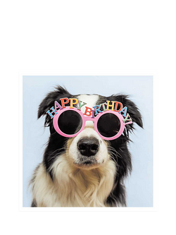 Woodmansterne Dog Glasses Birthday Card, Multi