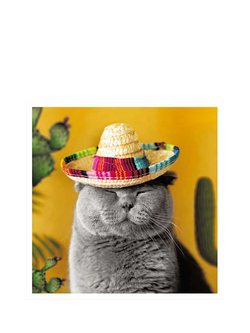Woodmansterne Grey Cat With Sombrero On Greeting Card, Multi