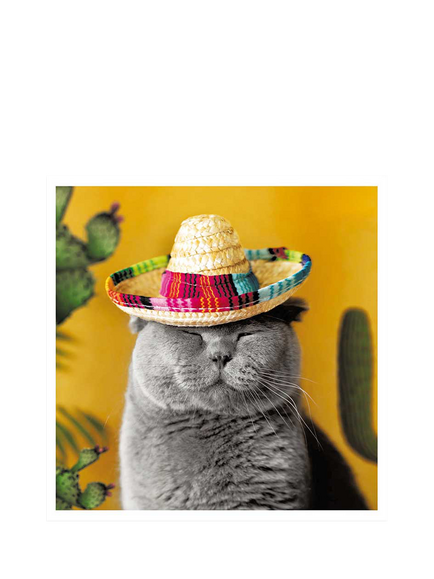 Woodmansterne Grey Cat With Sombrero On Greeting Card, Multi