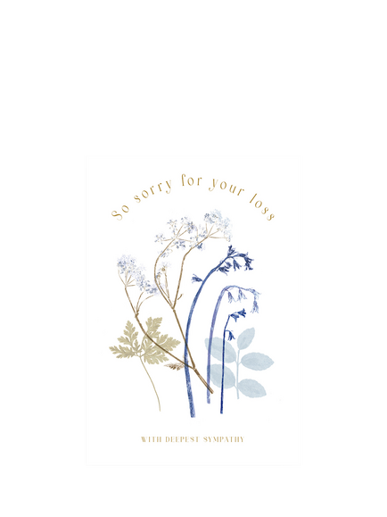 Woodmansterne Pressed Bluebells & Ferns Sympathy Card, Multi