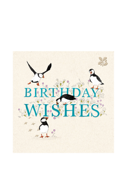 Woodmansterne Puffins Birthday Card, Multi