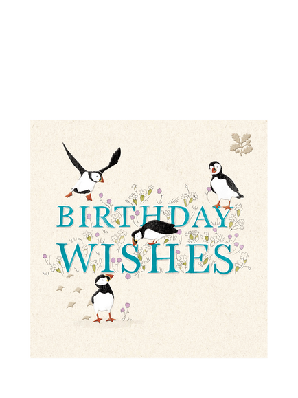 Woodmansterne Puffins Birthday Card, Multi