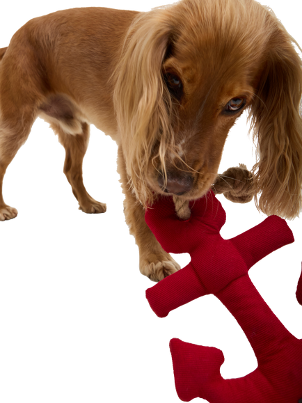 Barbour Anchor Squeaky Dog Toy, Red - view 2, Red