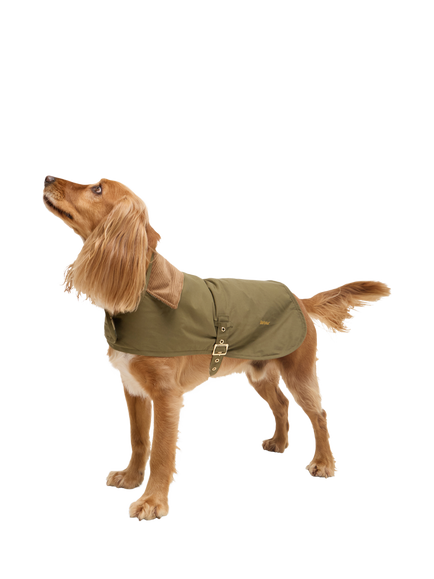 Barbour Transport Dog Coat, Green, Green
