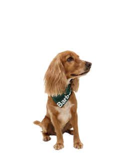 Barbour Logo Dog Bandana, Green, Green