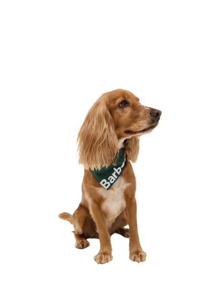 Barbour Logo Dog Bandana, Green, Green