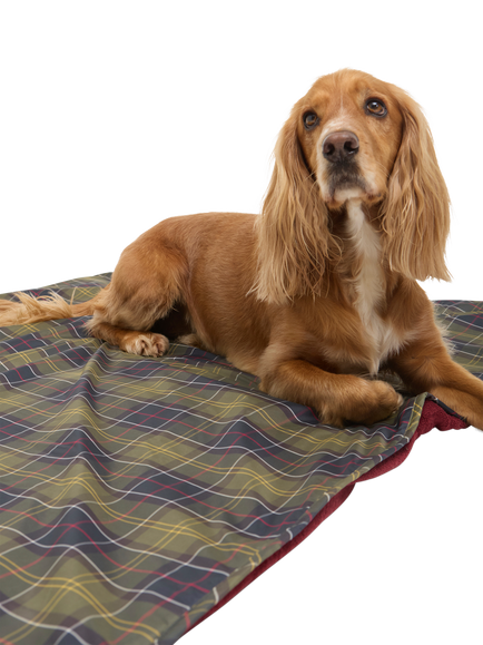 Barbour Tartan Dog Towel Blanket, Multi, Multi