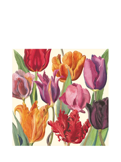 Emma Bridgewater Illustrated Tulips Blank Greeting Card, Multi