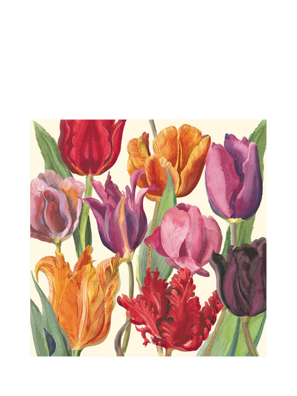 Emma Bridgewater Illustrated Tulips Blank Greeting Card, Multi