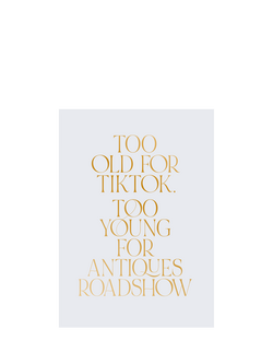 Pigment Too Old For TikTok Birthday Card, Multi