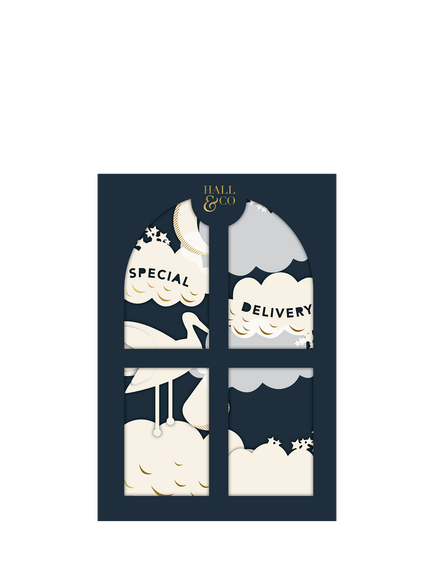 Hallmark Hall & Co Paper Fables Premium 3D Special Delivery New Baby Card, Multi