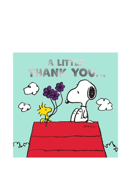 Hallmark Snoopy & Woodstock Roof Thank You Card, Multi