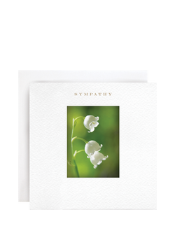 Susan O'Hanlon Lily Of The Valley Sympathy Card, Multi