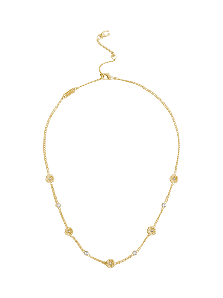 Coach Curb Chain Strand Necklace, Crystal, Crystal