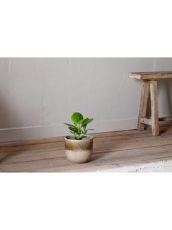 nkuku Almeida Small Ceramic Indoor Plant Pot, 17.5cm, Green/Cream - view 2, Green/Cream