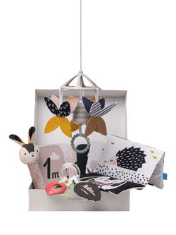 Taf Toys Newborn Black & White Kit, Multi