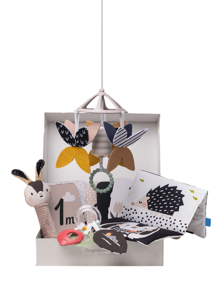 Taf Toys Newborn Black & White Kit, Multi