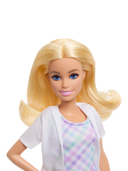 Barbie Careers Dentist Playset - view 2, Multi