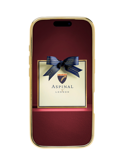 Aspinal of London iPhone 17 Pro Leather Case - view 2, Caramel