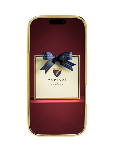 Aspinal of London iPhone 17 Pro Leather Case - view 2, Caramel