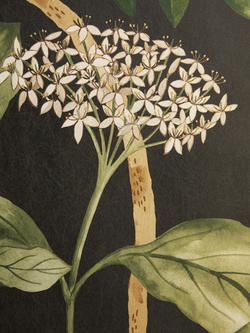 Liberty London Magical Plants Wallpaper, Jade