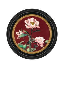 Brookpace Lascelles 'Peony' Porthole Round Framed Canvas Print, 43cm, Black/Multi, Multi