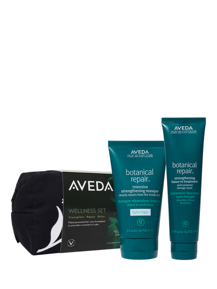 Aveda Hair Repair Wellness Haircare Gift Set, 
