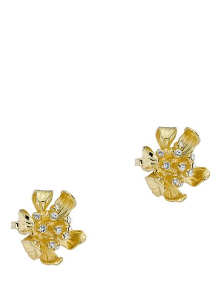 Ted Baker Futura Furled Flower Stud Earrings, Gold, Gold Tone