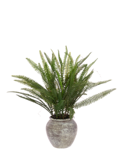Floralsilk Artificial Fern in Ceramic Pot, H56cm, Green, Green