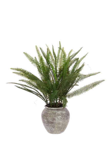 Floralsilk Artificial Fern in Ceramic Pot, H56cm, Green, Green