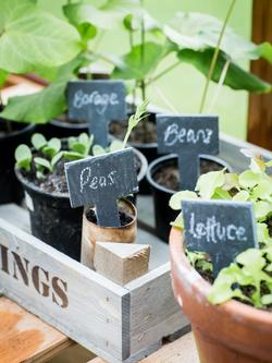 Garden Trading Greenhouse Slate Tags, Pack of 6 - view 2, Grey