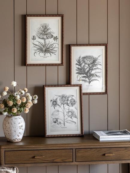 John Lewis 'Fresco' Botanical Framed Prints, Set of 3, 40 x 30cm, Black/White - view 2, Multi