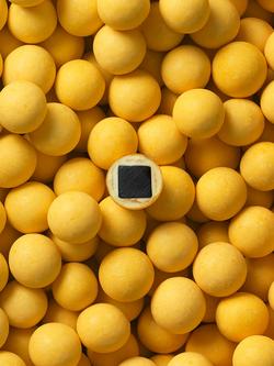 LAKRIDS BY BÜLOW Passion Fruit Chocolate Coated Liquorice, 270g - view 2, Multi