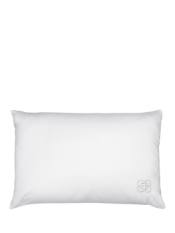 Gingerlily Silk Standard Pillow, White, White