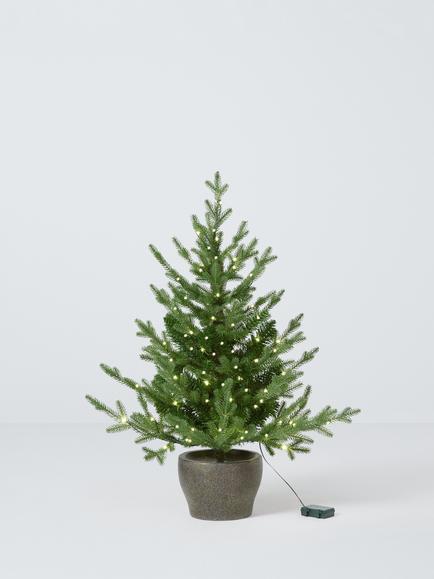 John Lewis Cotswold Potted Pre-lit Battery Operated Christmas Tree, Green