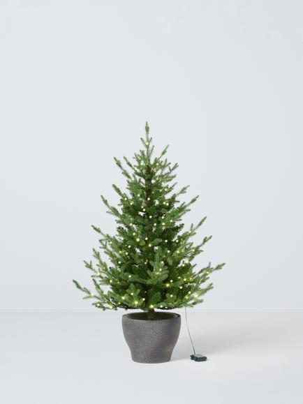 John Lewis Cotswold Potted Pre-lit Battery Operated Christmas Tree, Green