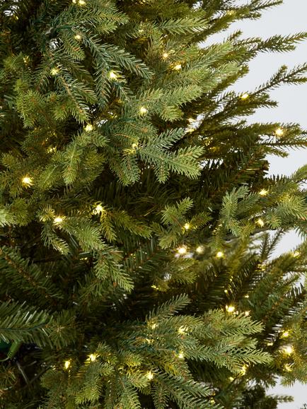 John Lewis Cotswold Potted Pre-lit Christmas Tree, 7ft - view 2, Green