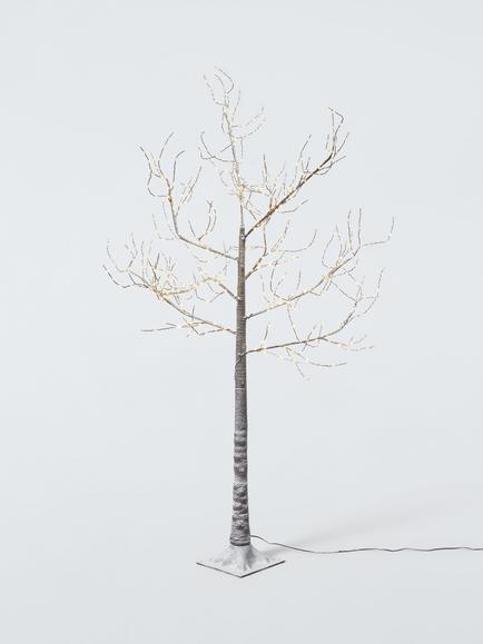 John Lewis Pre-Lit Frosted Birch Twig Tree, 6ft, Brown