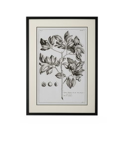 Neptune 'Whitechapel II' Botanical Framed Print, 109 x 79cm, Off White, Off White
