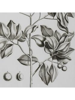 Neptune 'Whitechapel II' Botanical Framed Print, 109 x 79cm, Off White - view 2, Off White