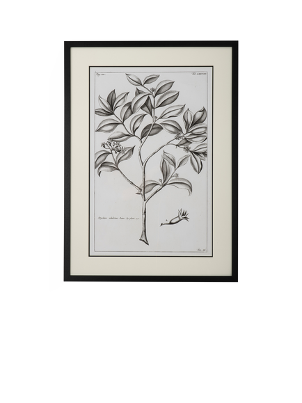 Neptune 'Whitechapel I' Botanical Framed Print, 109 x 79cm, Off White, Off White