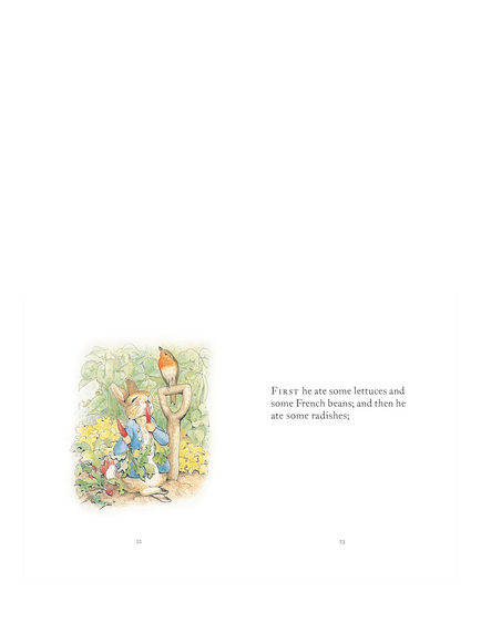 Peter Rabbit Beatrix Potter 'My First Peter Rabbit Collection' Kids' Books, Set of 4 - view 2, Multi