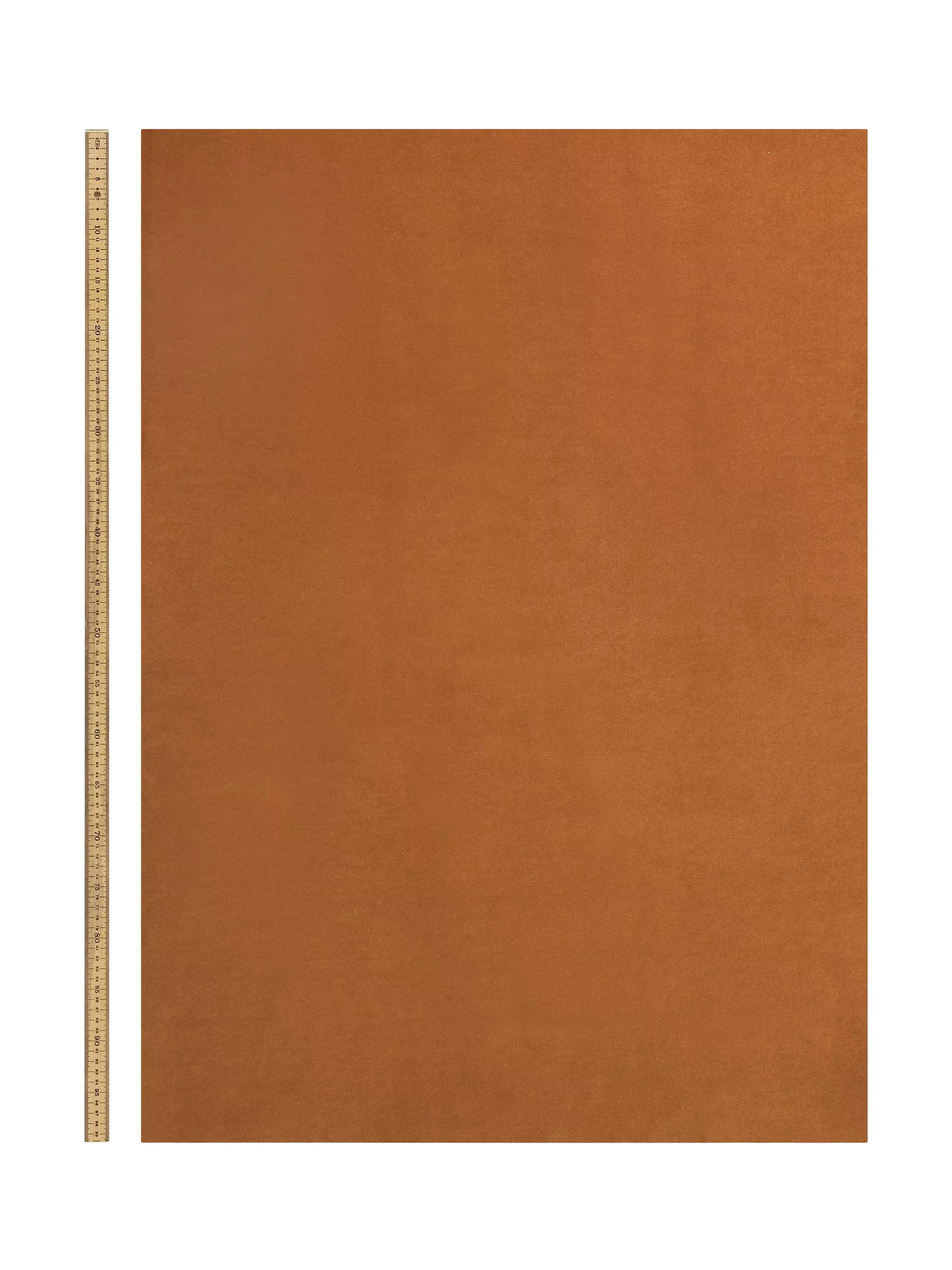 Carousel image, index 1