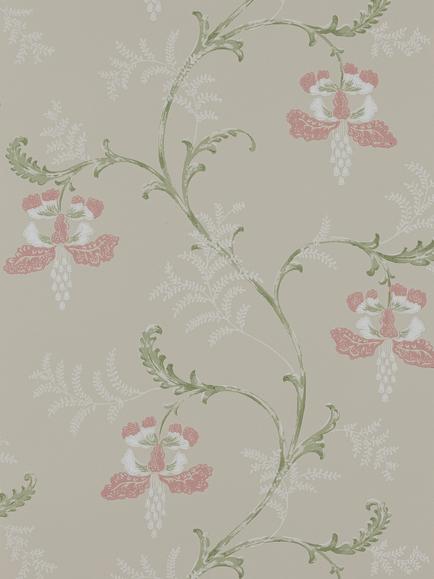 Colefax and Fowler Bellflower Wallpaper, Pink/Green