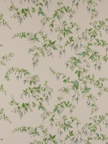 Colefax and Fowler Fuchsia Wallpaper, Grey/Green